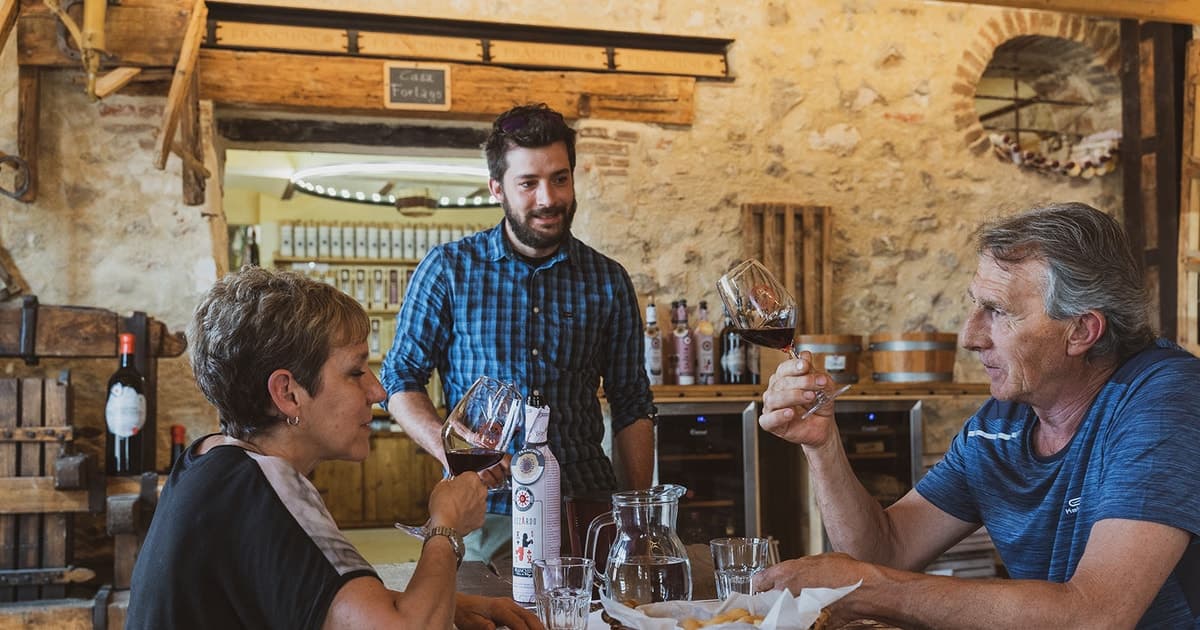 Valpolicella: Tour 6 wine tasting Amarone and Recioto