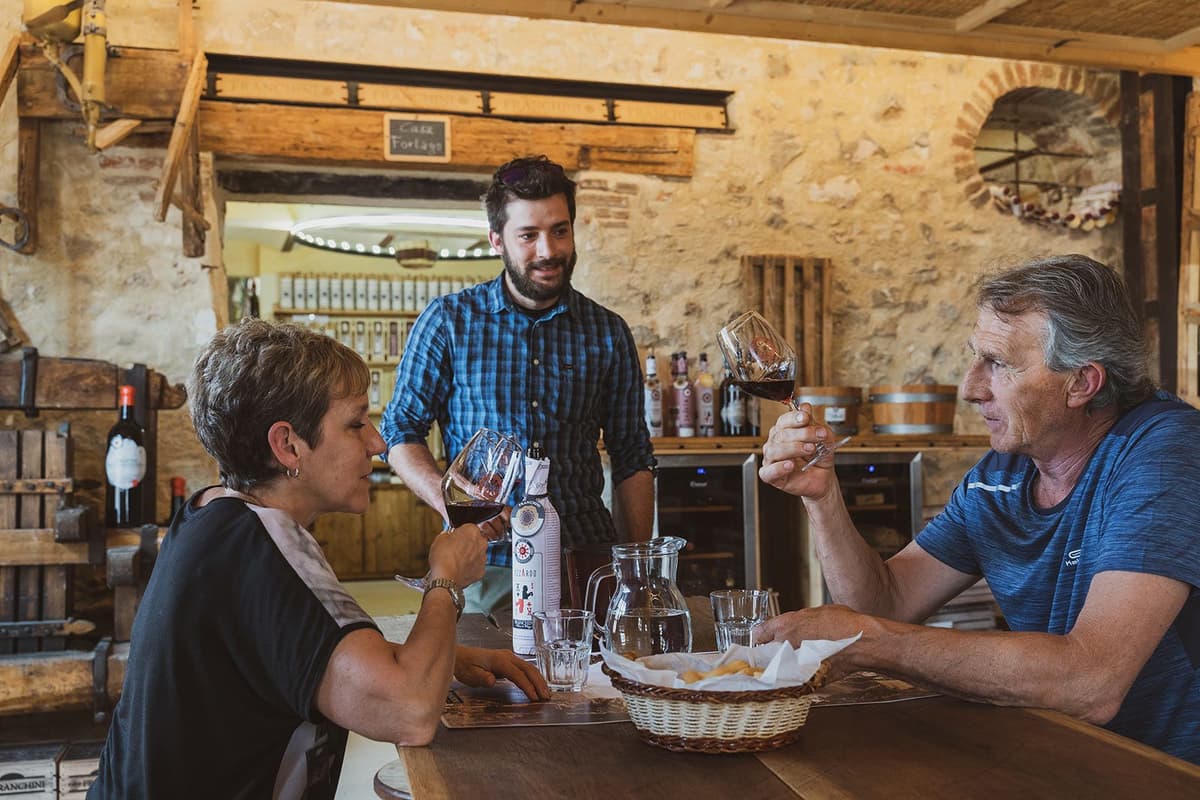 Valpolicella: Tour 6 wine tasting Amarone and Recioto