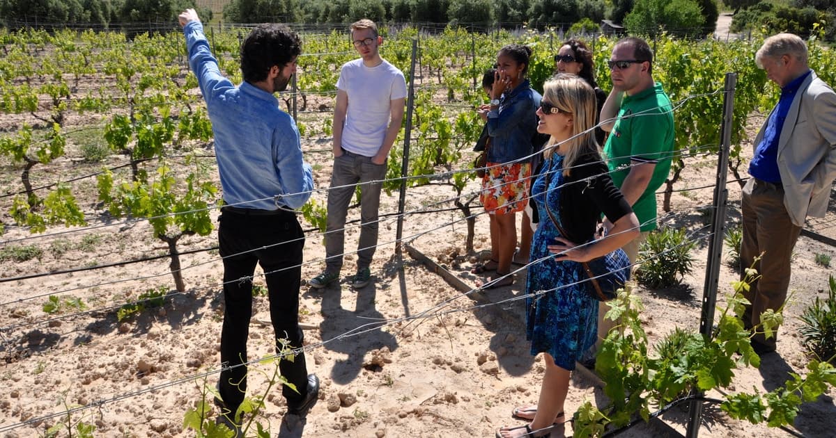 Tour guiado por bodegas de Madrid con cata de vino