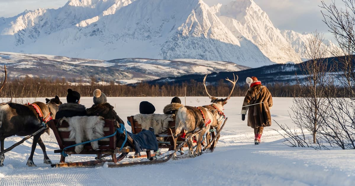 Tromsø: paseo en trineo de renos y tour cultural lapón con almuerzo