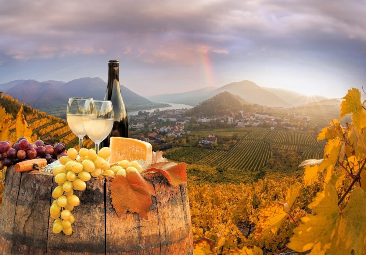 Viena: Visita a Bodegas y Cata de Vinos con un Experto en Vinos