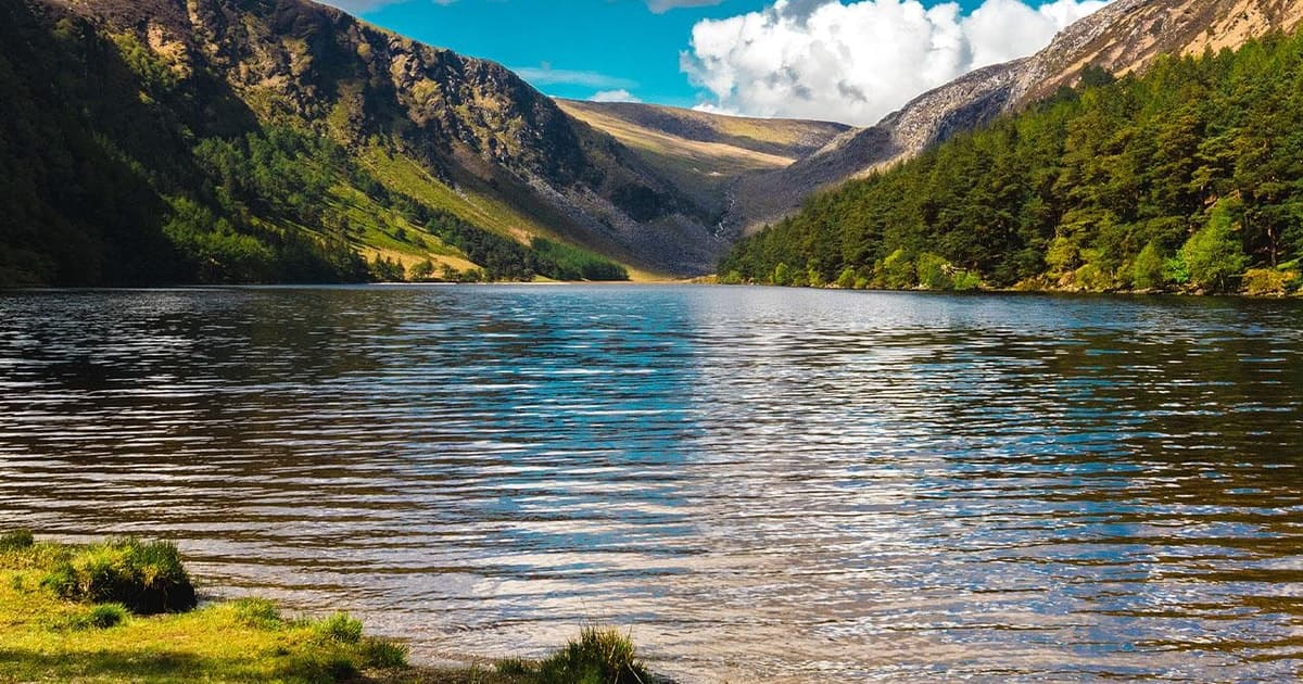 From Dublin: Half-Day Trip to Glendalough and Wicklow