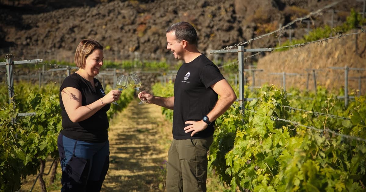 Tenerife: Visita a un Viñedo Ecológico con Degustación y Aperitivo