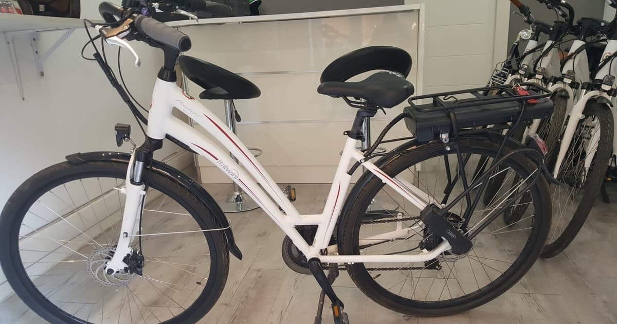 Roma: servicio de alquiler de bicicletas eléctricas