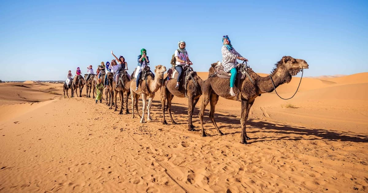 Desde Fez: tour de 2 días a Marrakech pasando por el desierto de Merzouga