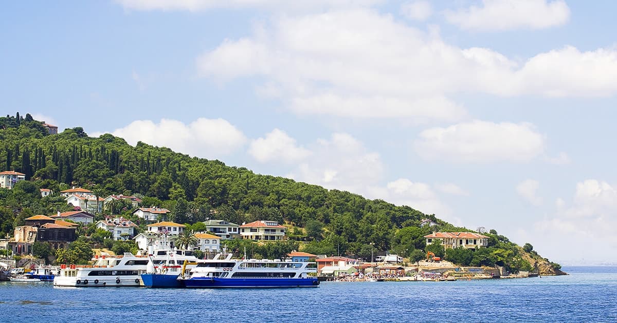 Estambul: billetes de ferri de traslado de ida y vuelta a las islas Príncipe