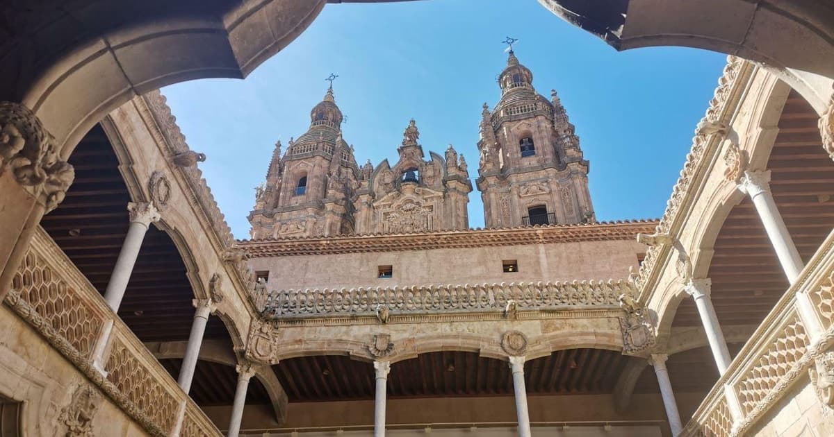 Salamanca: Visita guiada a pie por monumentos y lugares emblemáticos