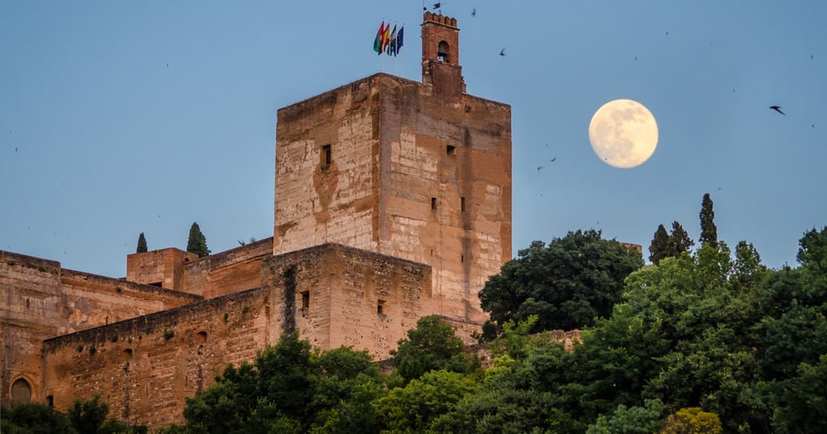 Alhambra con Palacios de los Nazaríes Tour Privado