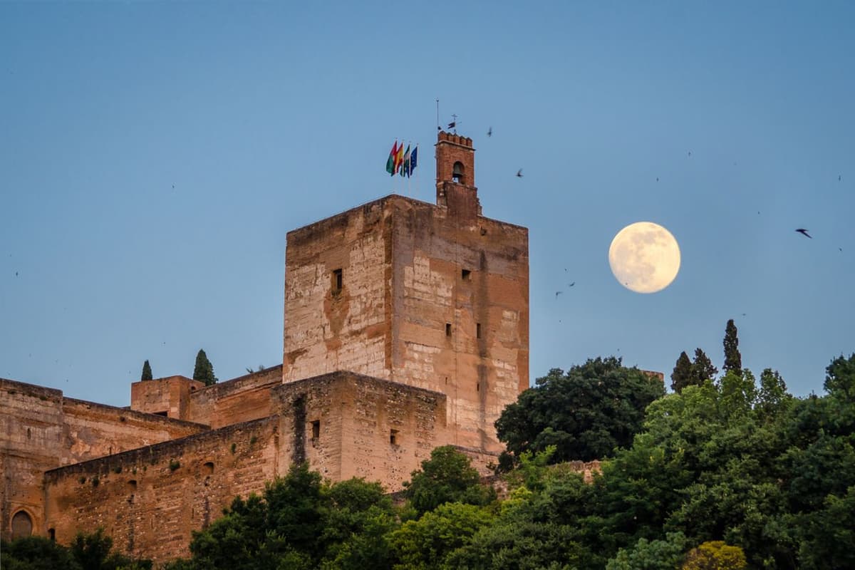 Alhambra con Palacios de los Nazaríes Tour Privado