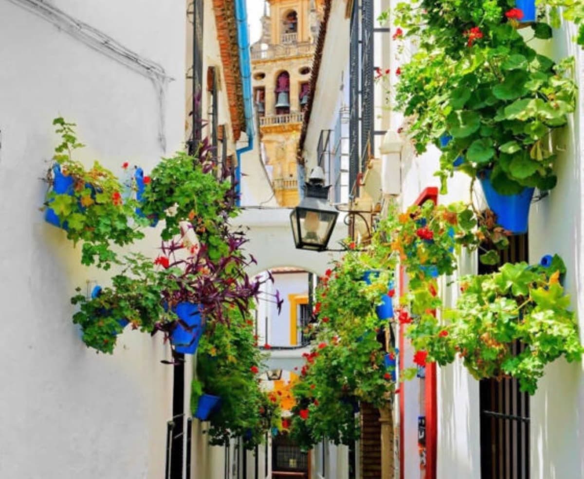 Córdoba: recorrido a pie por los monumentos históricos de la ciudad de Córdoba
