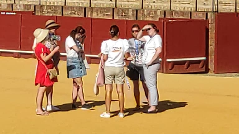 Seville Bullring Tours
