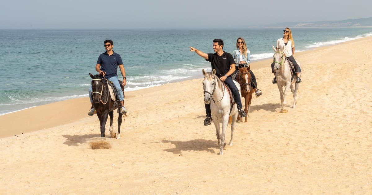 Desde Lisboa: Viaje a Comporta y Setúbal con Paseos a Caballo