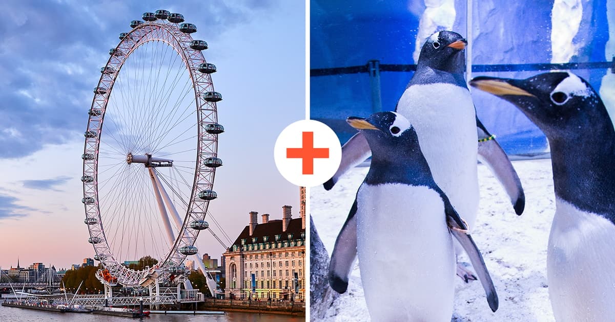 London: SEA LIFE & London Eye Combo Ticket