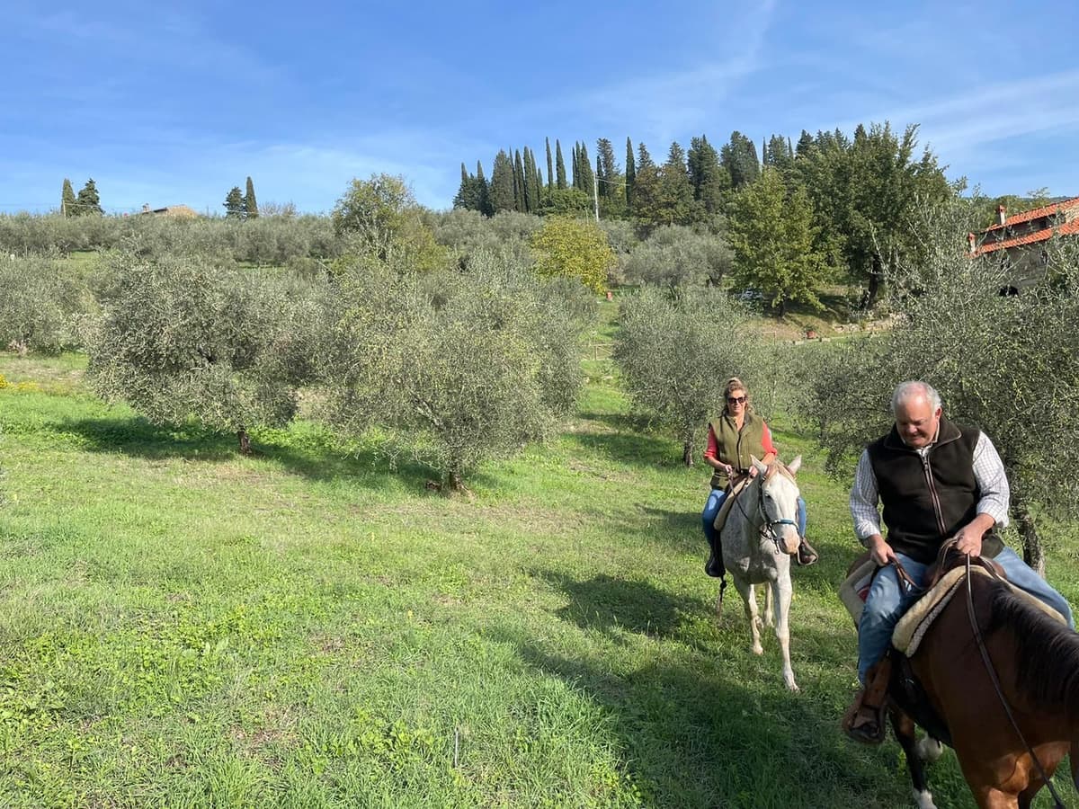 From Florence: Horseback Ride and Olive Oil and food tasting