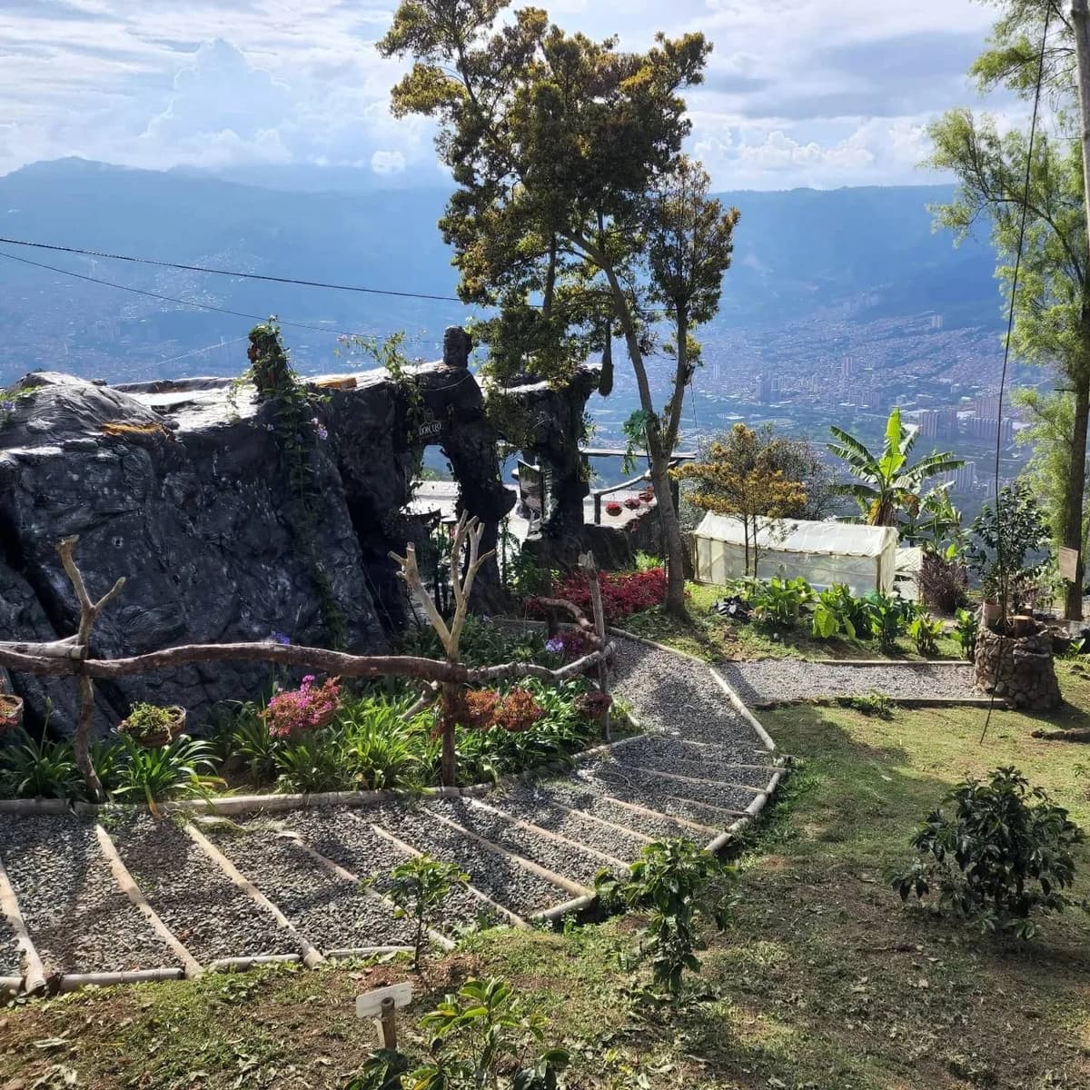Medellín: tour a una finca de café y taller de barista