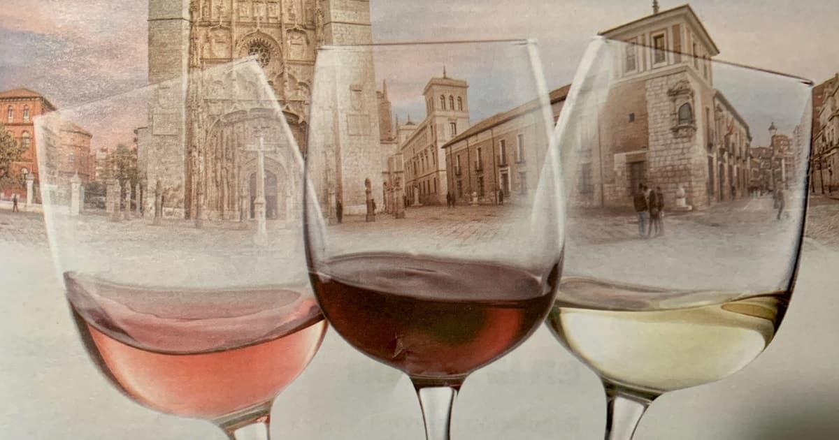 Valladolid: Visita guiada privada con tapas y cata de vinos