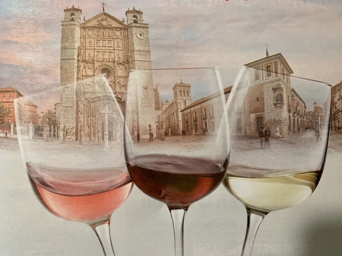 Valladolid: Visita guiada privada con tapas y cata de vinos