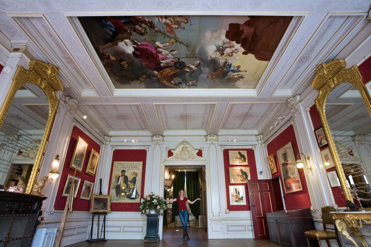 Amsterdam: Entrada al Museo del Gato Kattenkabinet