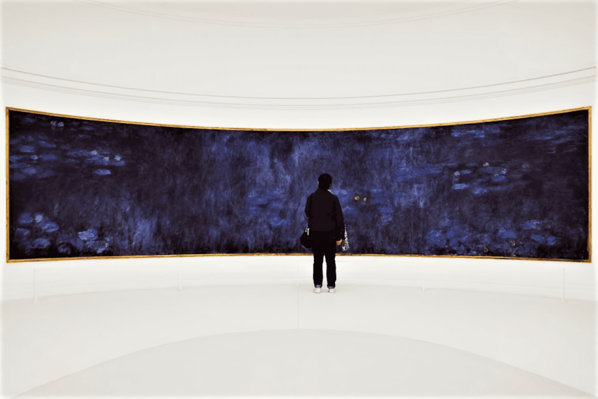 París: ticket de entrada al Museo de la Orangerie y ticket para el crucero por el Sena
