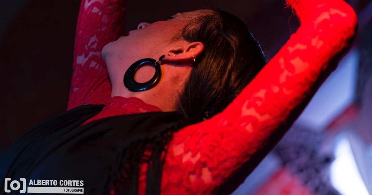 Valencia: flamenco en Toro y La Luna con cena opcional