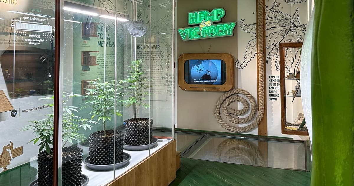 Ámsterdam: ticket de entrada al Museo del Cannabis y audioguía