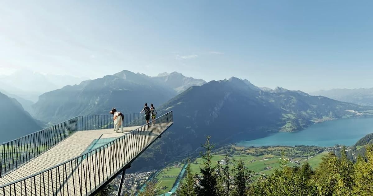 From Zurich: Interlaken Day Trip and Harder Kulm Viewpoint