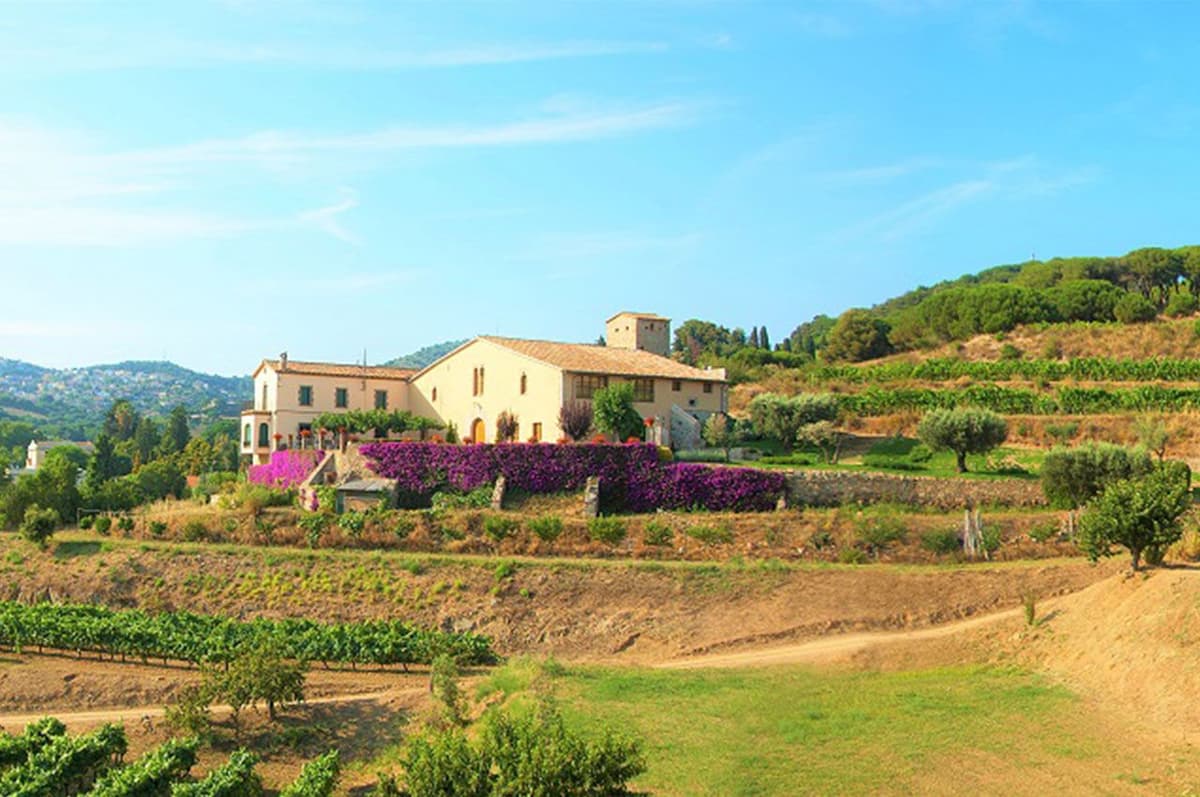 From Barcelona: Private Alella Wine Tour by Electric Bike