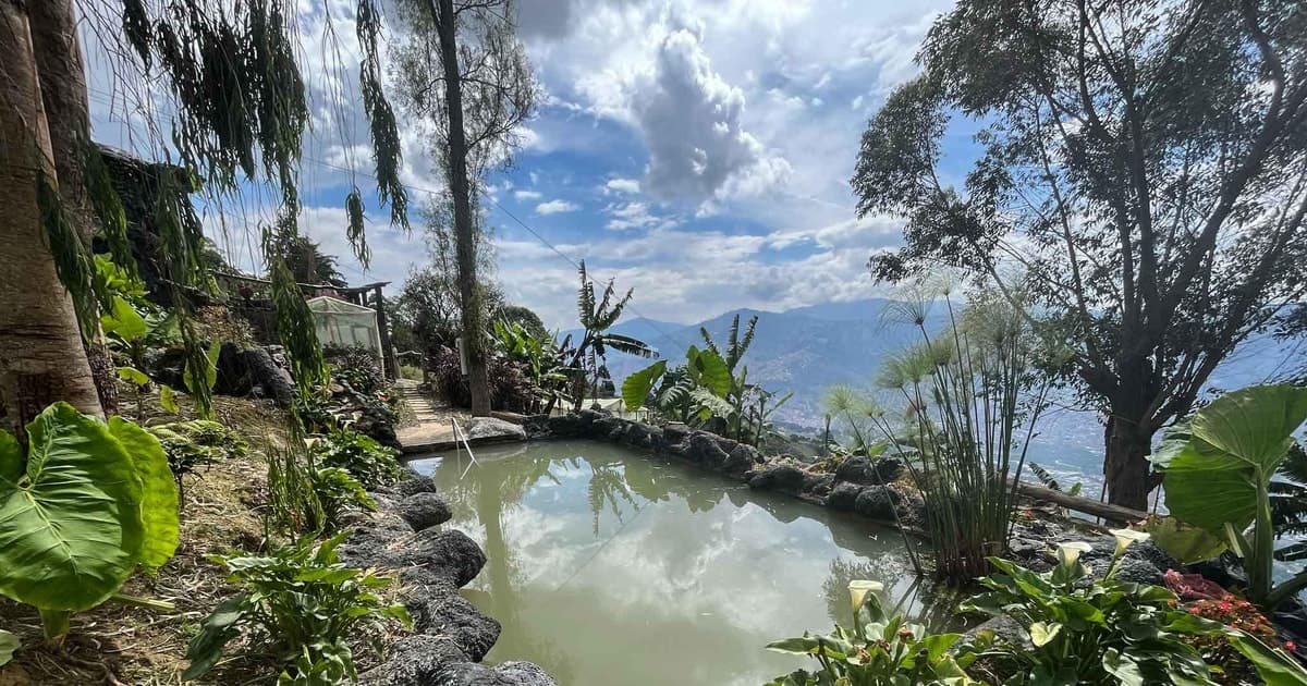 Medellín observación de aves Cabaña Bosque Arví
