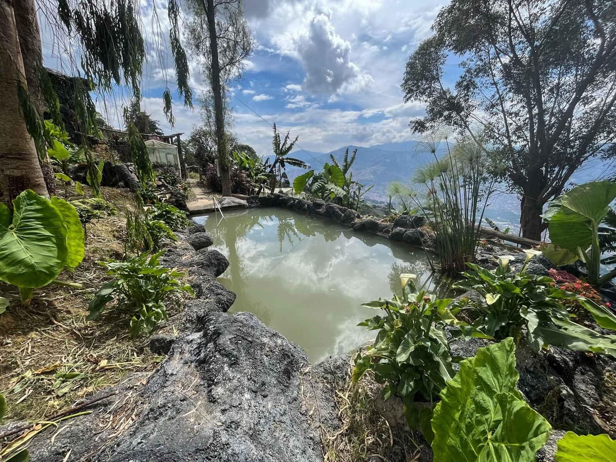 Medellín observación de aves Cabaña Bosque Arví