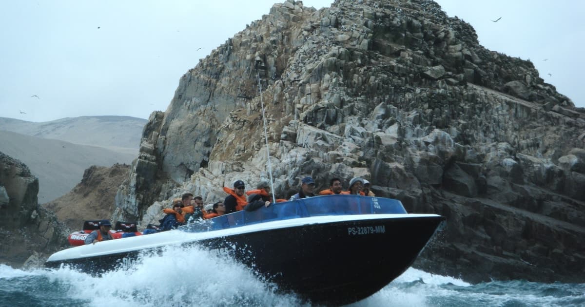 Desde Lima: Excursión en lancha rápida a las Islas Palomino y baño con leones marinos