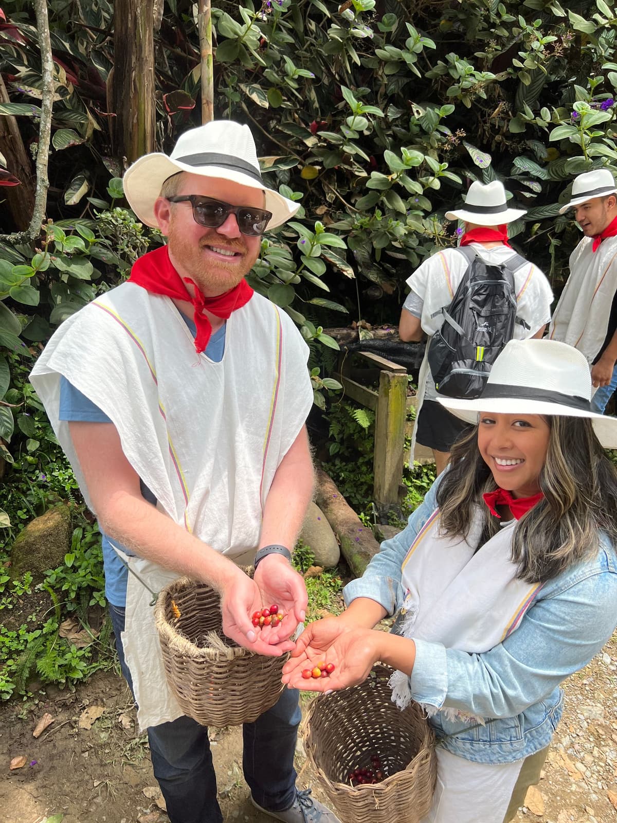 Medellín: tour de café en una plantación