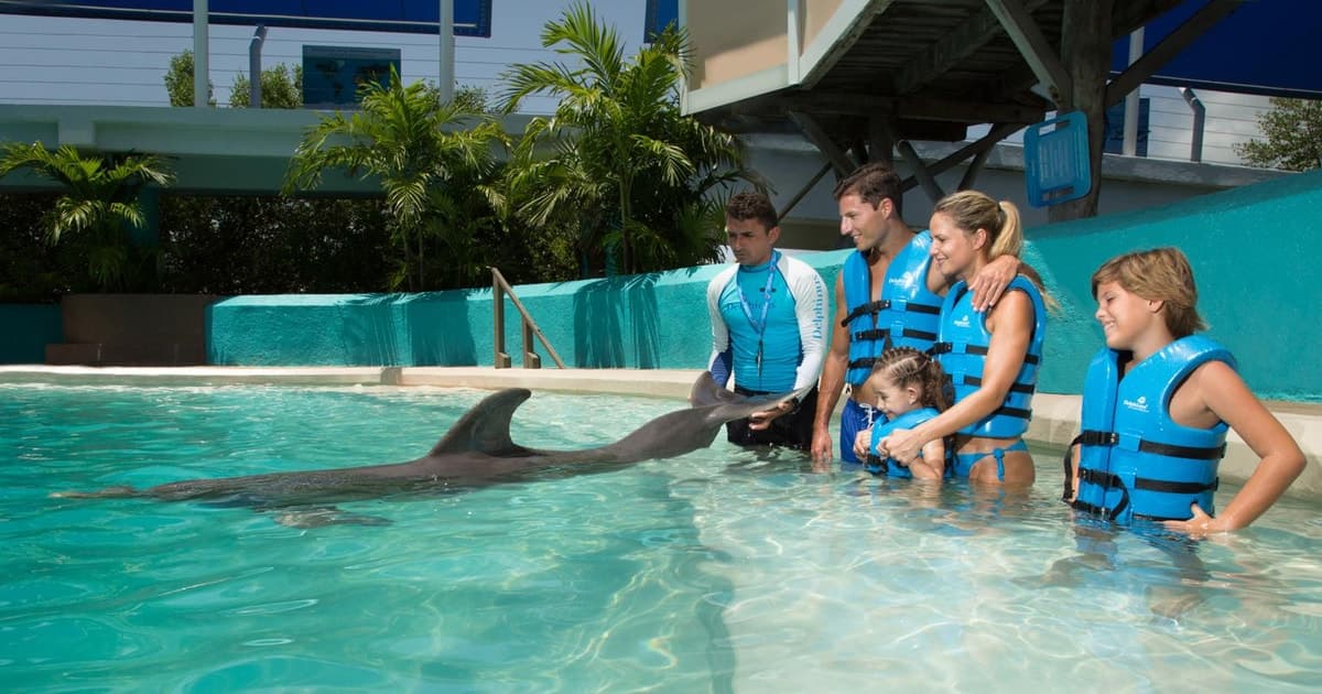 Cancún: entrada interactiva al acuario + nado con delfines Interx