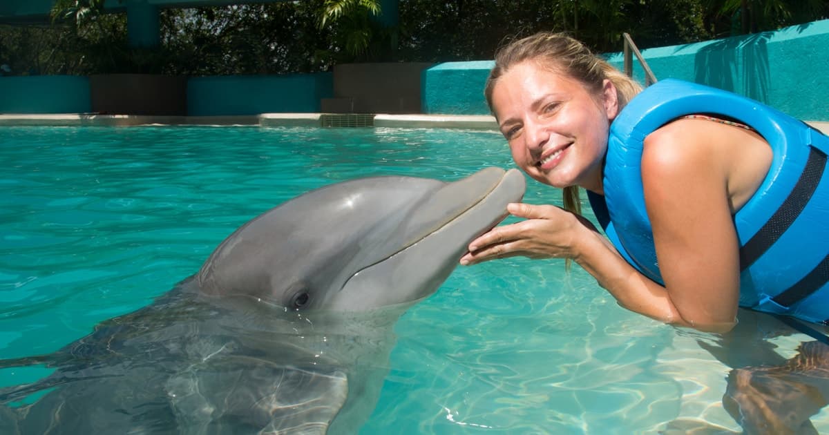 Cancún: entrada interactiva al acuario + baño con delfines Splash
