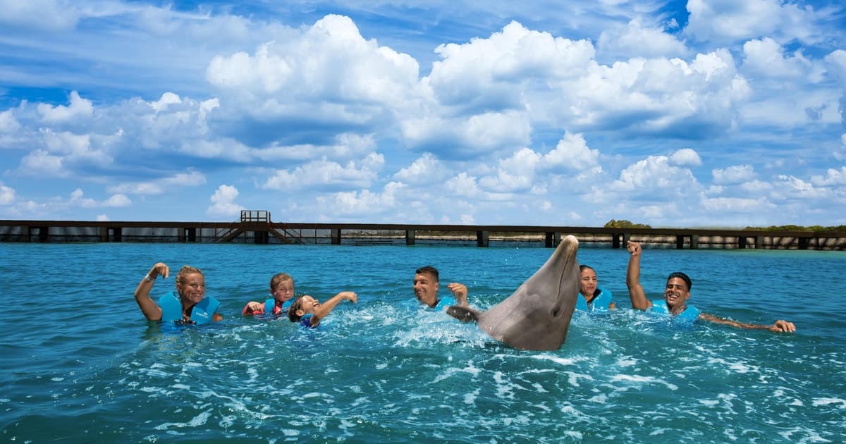 Costa Mujeres: Nada con delfines