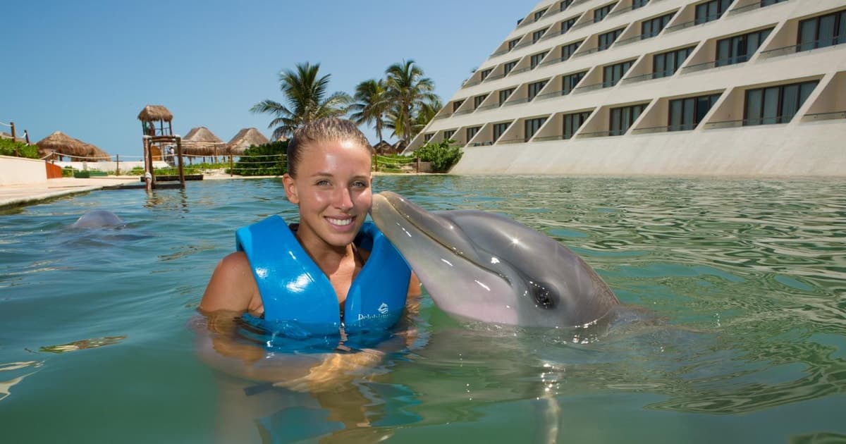 Punta Cancún: Nada con delfines Interax