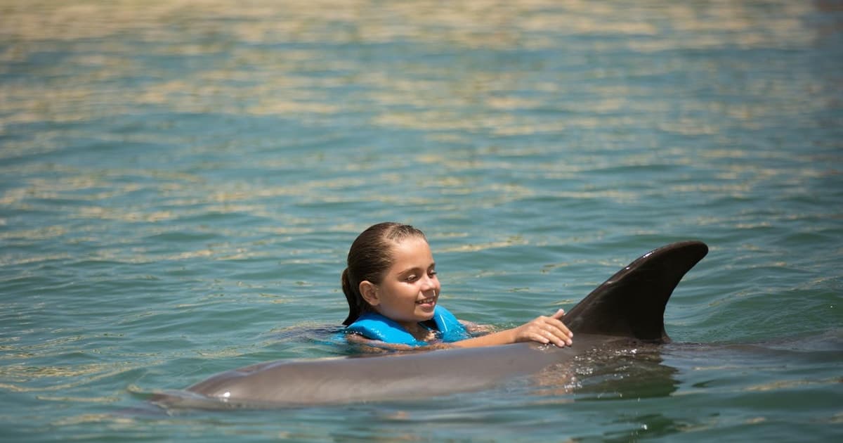 Punta Cancún: Nadar con delfines Harmony