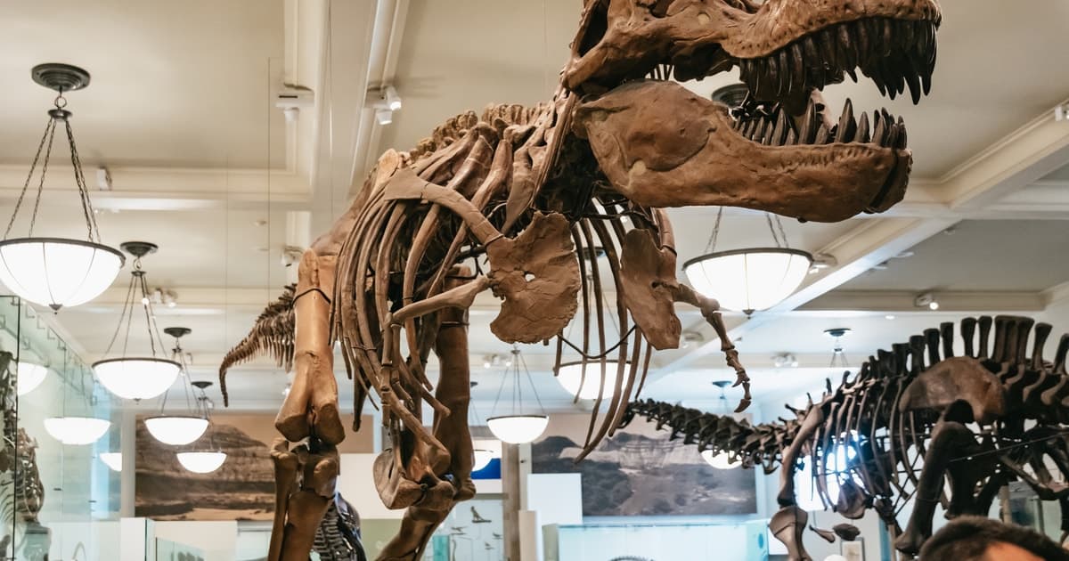 New York City: American Museum of Natural History Ticket