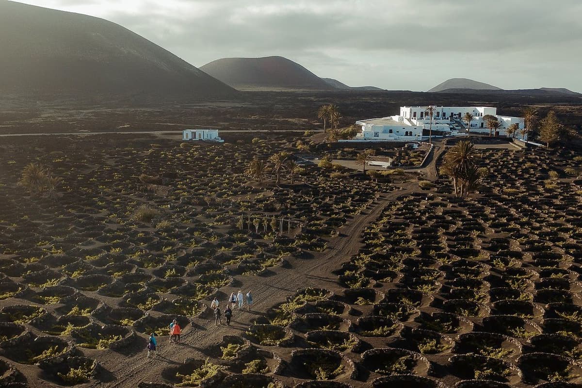 Lanzarote: Visita a viñedos con cata de vino y chocolate