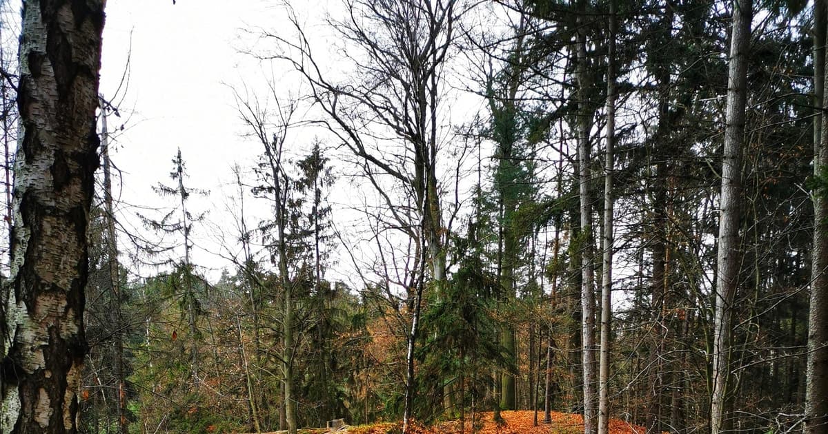 From Prague: Full-Day Bohemian Paradise Guided Hiking Trip
