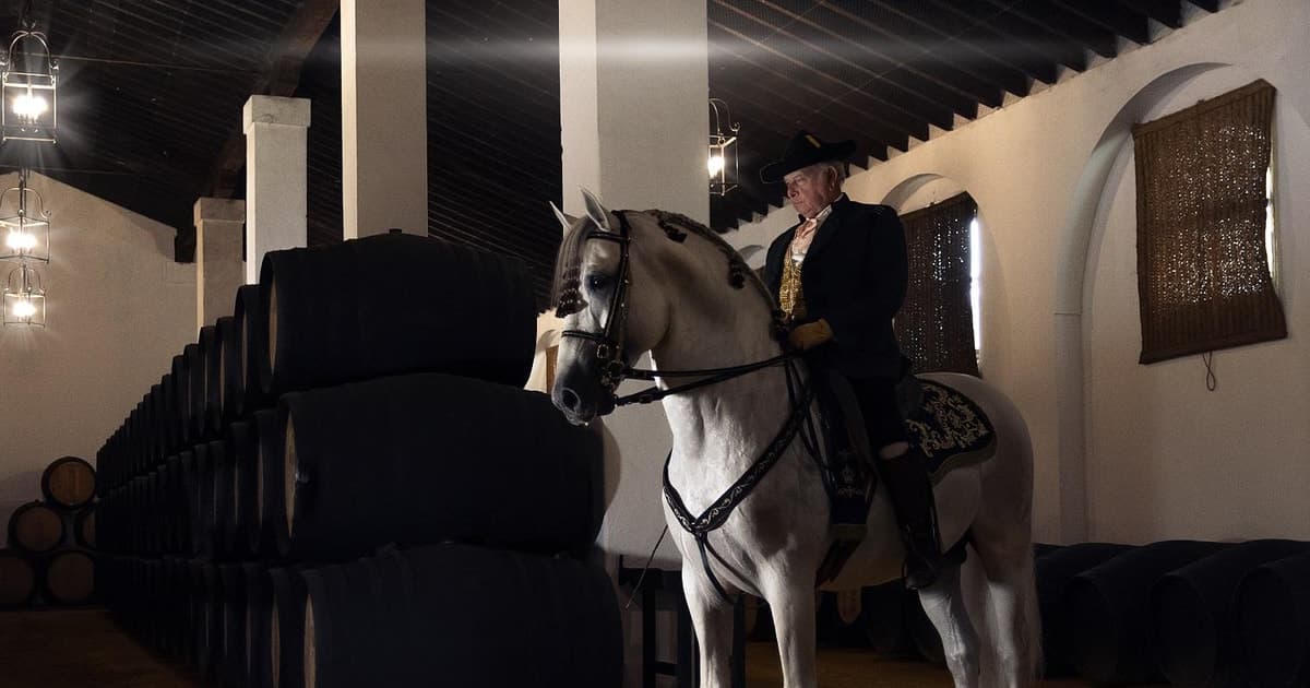 Jerez: visita guiada a las Bodegas Álvaro Domecq con cata de vino