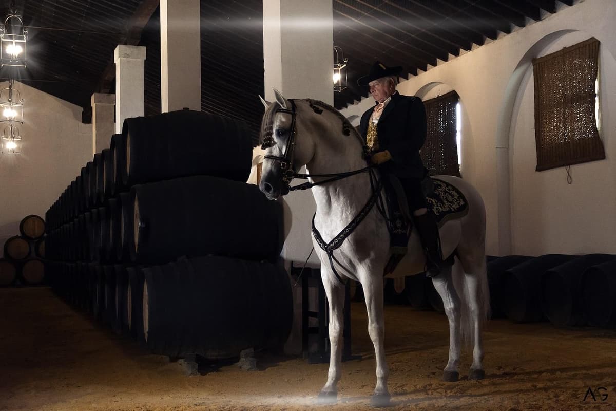 Jerez: visita guiada a las Bodegas Álvaro Domecq con cata de vino