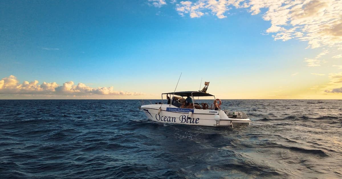 Excursión para ver ballenas - 3 horas