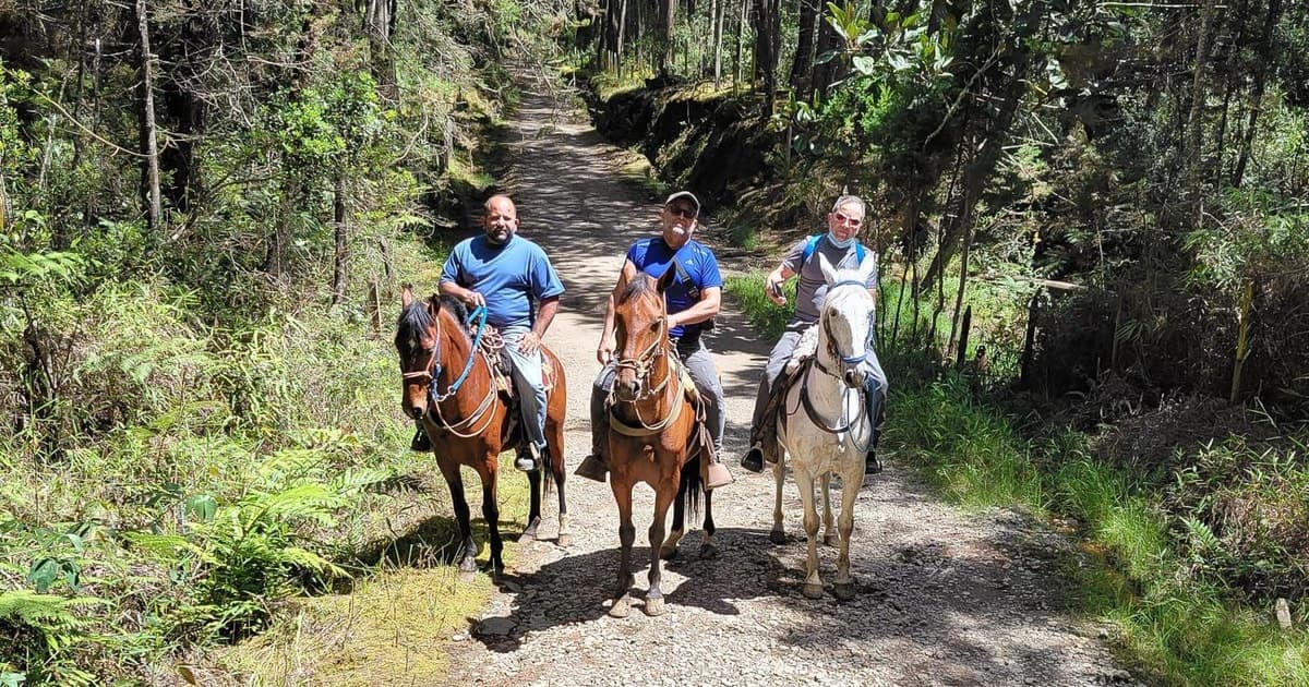 Medellín: Excursión a caballo por una finca cafetera con spa de café