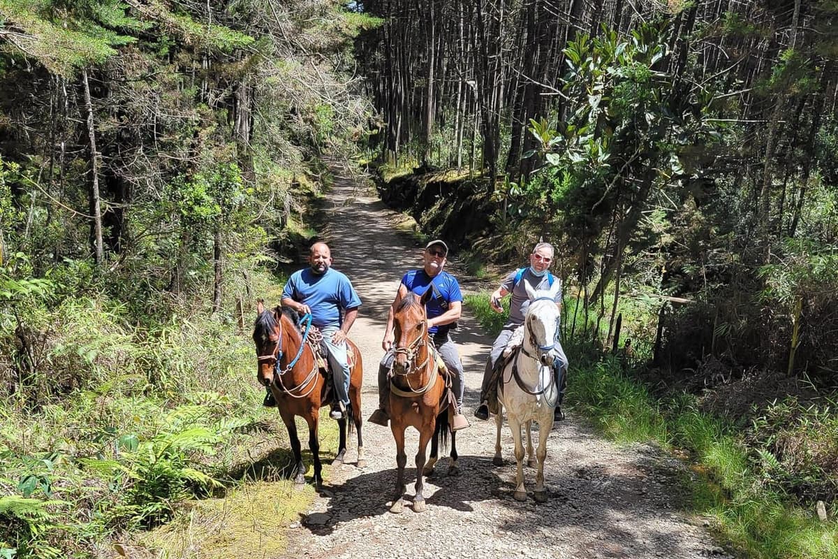 Medellín: Excursión a caballo por una finca cafetera con spa de café