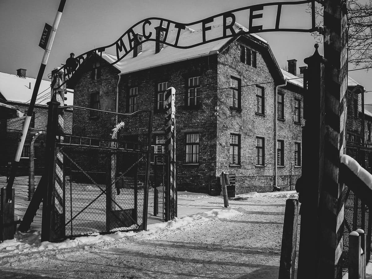 Desde Cracovia: Auschwitz Birkenau Visita autoguiada