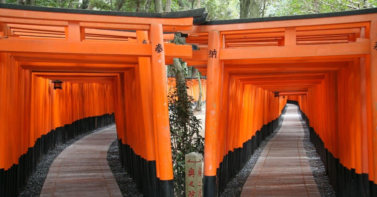 Kioto: tour en autobús de 1 día a Fushimi Inari, Kinkakuji y el bosque de bambú