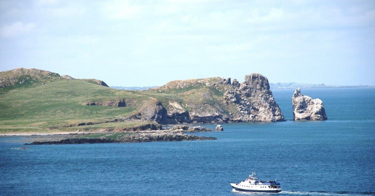 Dublín: Acantilados de Howth y Crucero en Barco por el Ojo de Irlanda