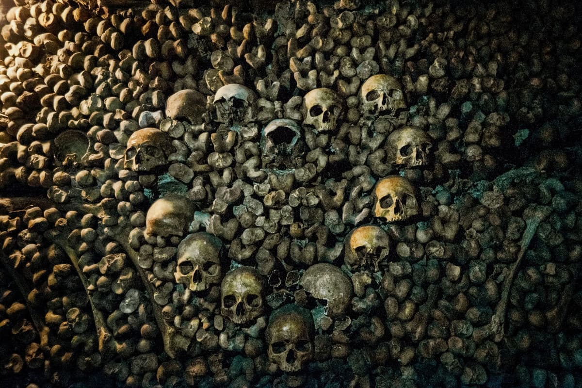 Paris Catacombs Guided Tour:Skip-the-Line & Restricted Areas