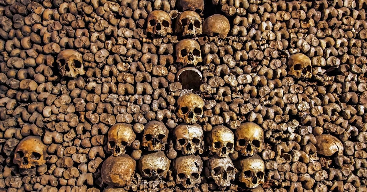 Paris: Catacombs Restricted Access Tour
