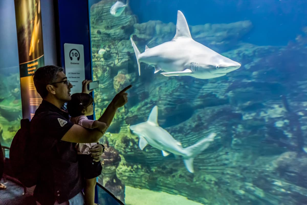 Valencia: entrada al Oceanogràfic